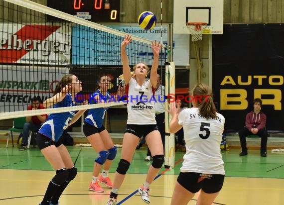 Volleyball Damen 3. Liga Süd SV Sinsheim gegen TSV Schmiden 18.02.2017 (© Siegfried)